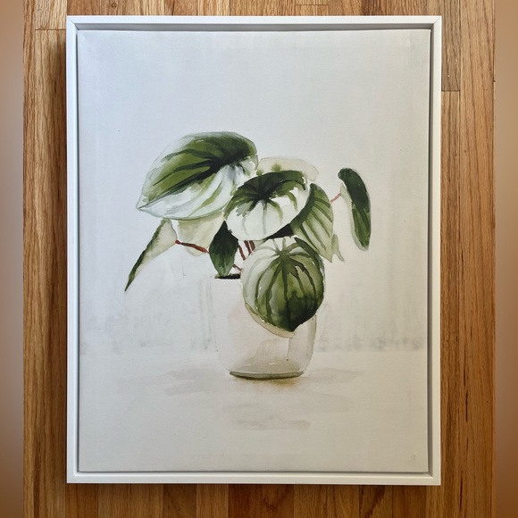 Plant printed canvas in White Frame - Picture 1 of 7